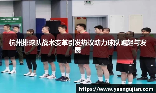 杭州排球队战术变革引发热议助力球队崛起与发展