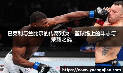 米兰体育官网