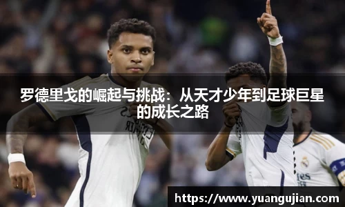 米兰体育官网